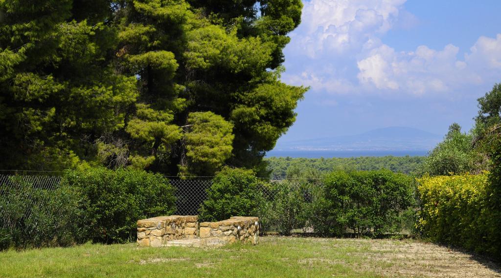 Olivos Villa Sani Sani  Room photo